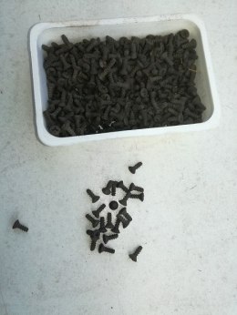 Polonez fiat 125p 126p zuk wkret stozkowy 20szt 3,5x10