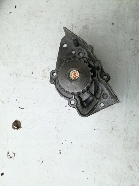 Polonez rover citroen peugeot 1,9 pompa wody