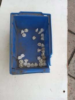 Polonez spinka boczka tapicerki 28szt