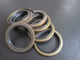 Polonez truck uszczelniacz simmering polosi