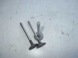 Polonez zawory zawor ssacy 3 szt