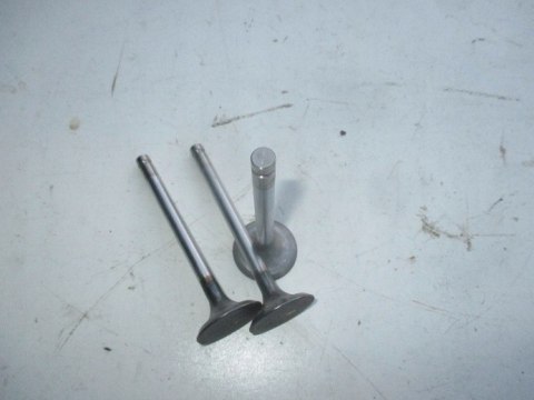 Polonez zawory zawor ssacy 3 szt