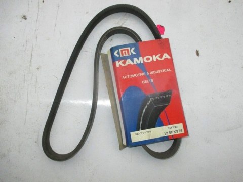 Lanos pasek klinowy wspomagania 5PKx975