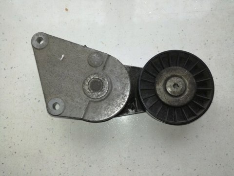 PEUGEOT 406 citroen fiat napinacz paska klinowego