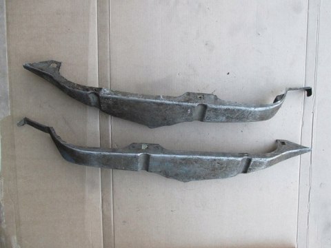 Polonez borewicz slupek blotnika