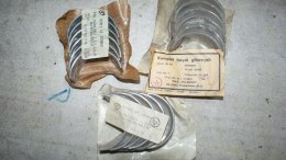 Polonez panewki glowne