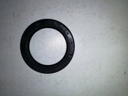 Skoda 100s 105 120 uszczelniacz polosi