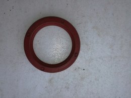 Skoda 100s 105 120 uszczelniacz polosi