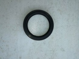 Skoda 100s 105 120 uszczelniacz polosi